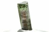 Bicolor Elbaite Tourmaline Crystal - Aricanga Mine, Brazil #206866-2
